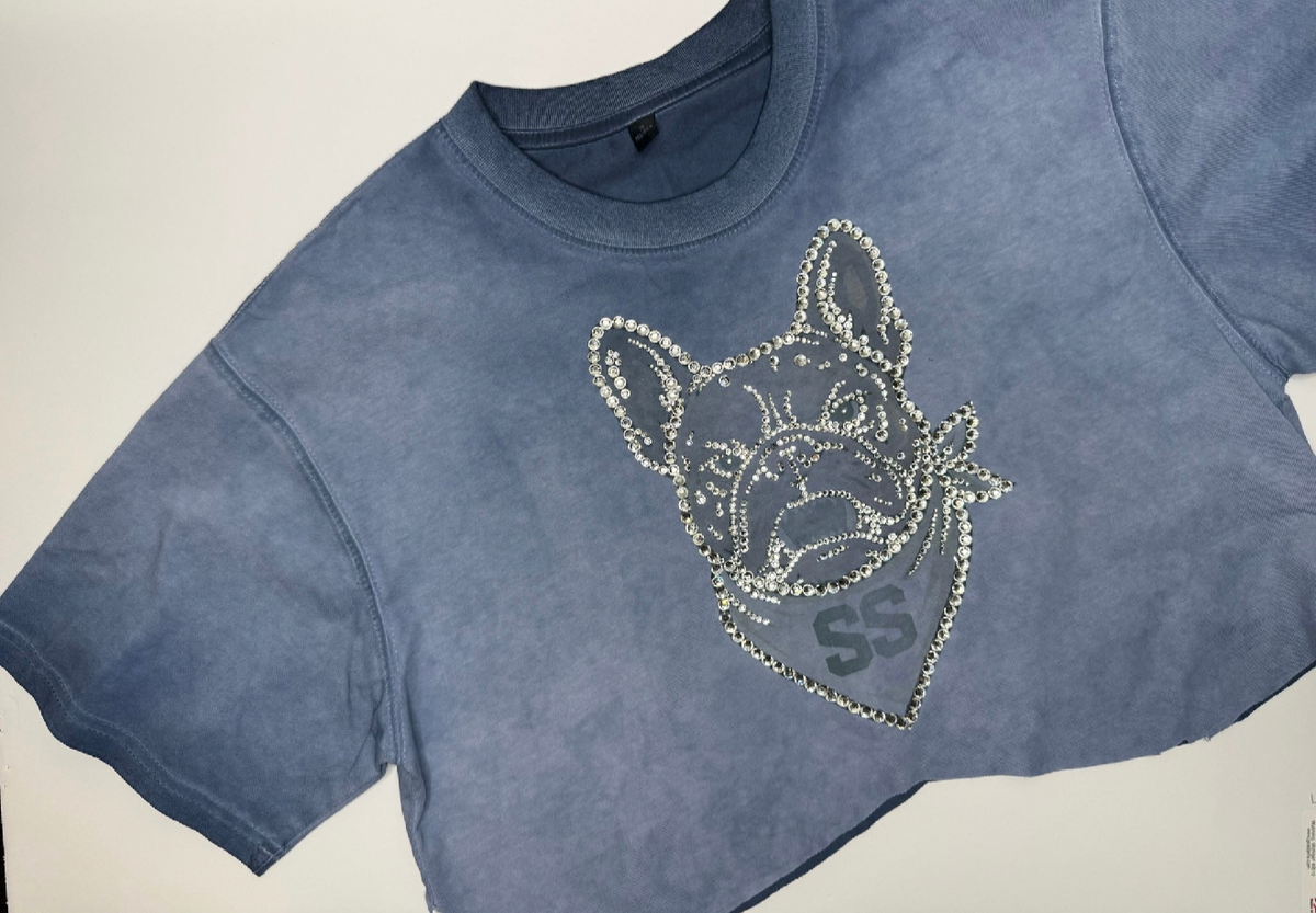 Future Rhinestone Cropped Tee